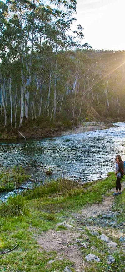 Mountain River walk, NSW