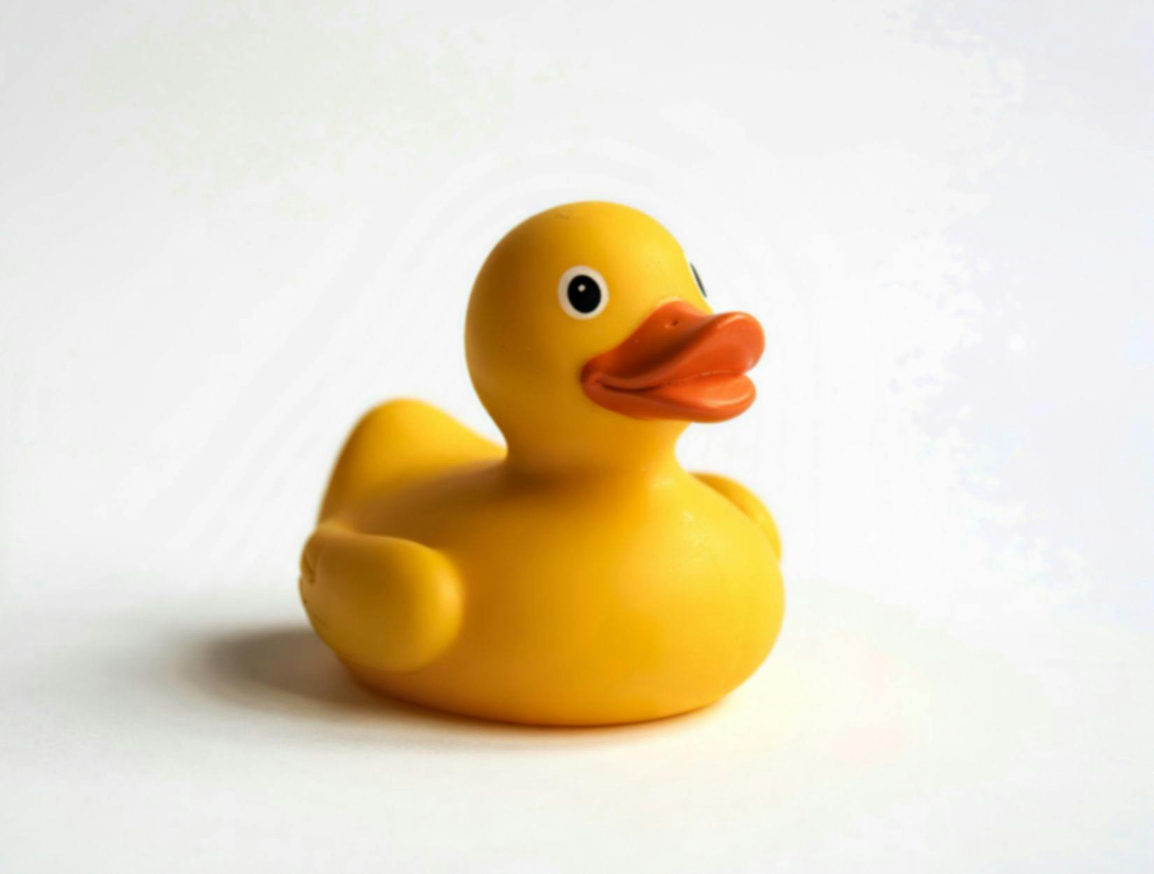 yellow rubber duck
