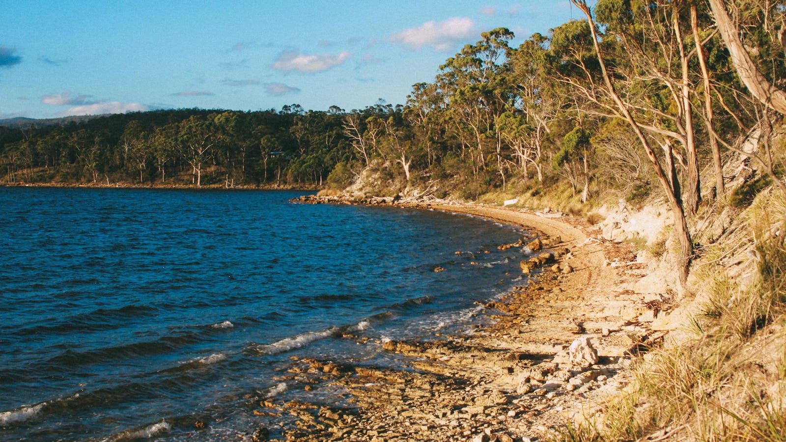 Private Beach | Tranquil Point Homestead