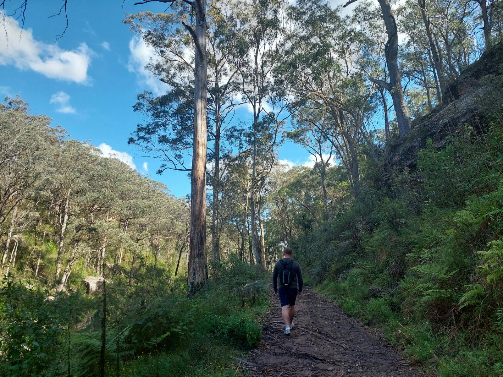 巴尔戈河沿岸的步行道