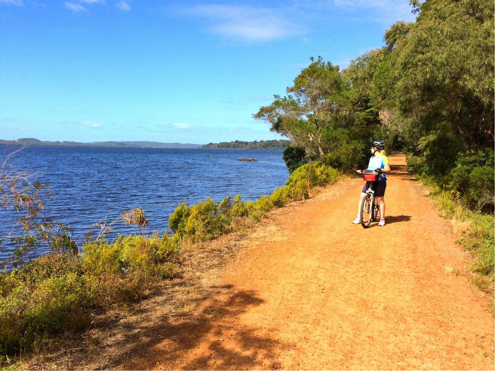 Cycling along the Munda Biddi Trail from Albany to Walpole