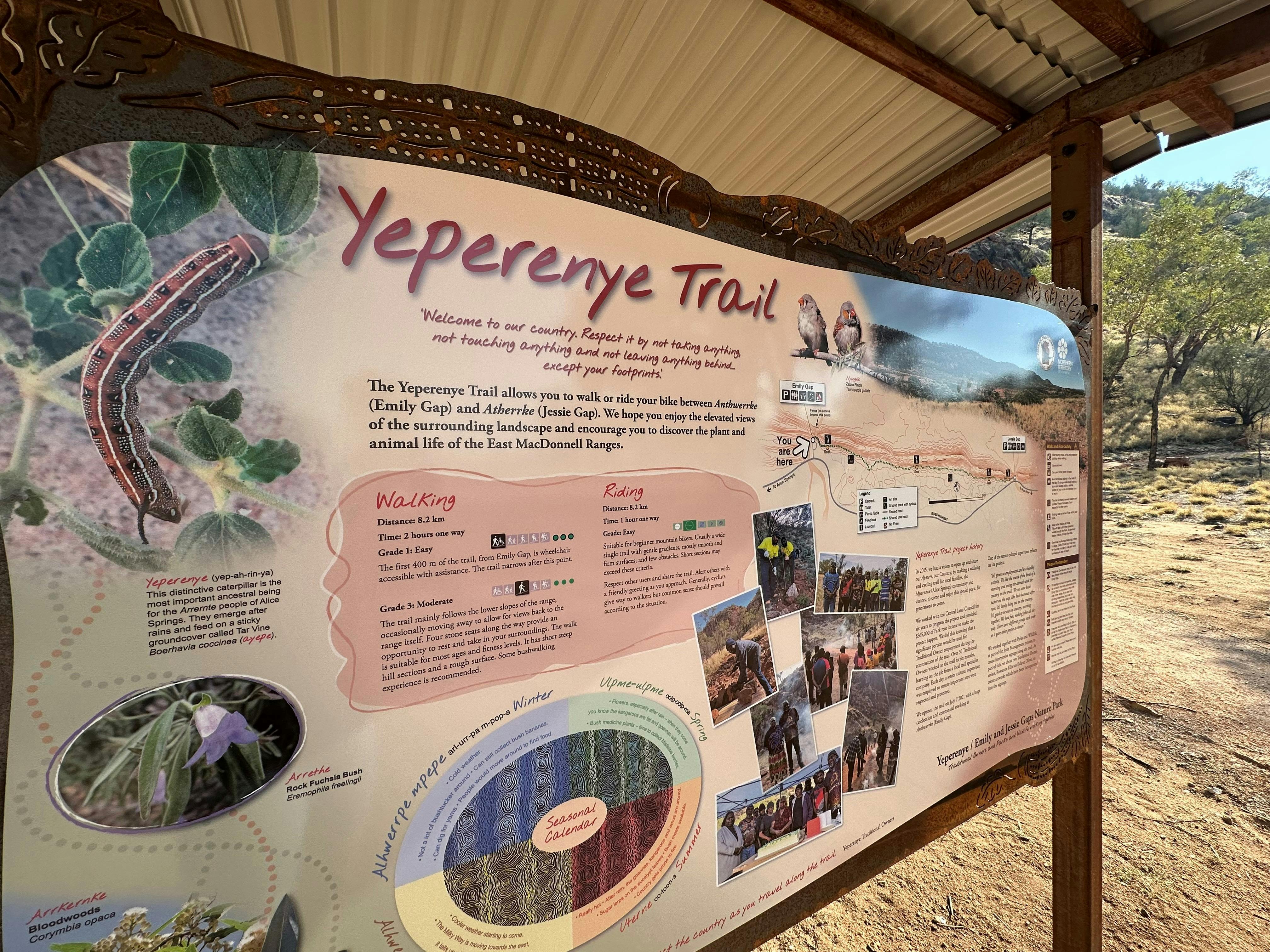 Yeperenye / Emily and Jessie Gaps Nature Park