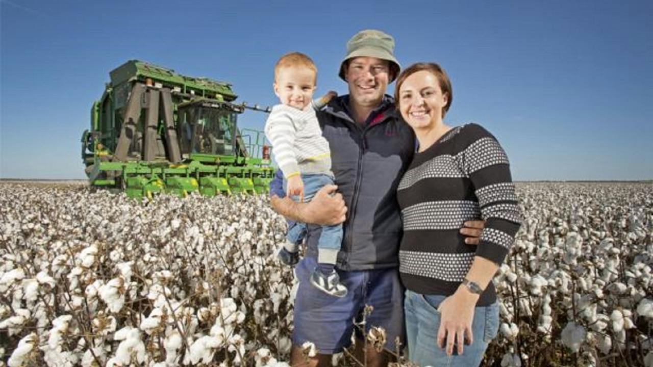 Southern Cotton Gin