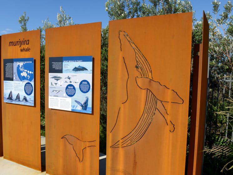 Warden Head Lighthouse - Display with information about Whale Migration