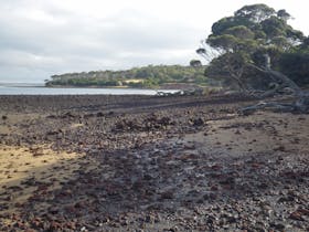 Churchill Island Marine National Park
