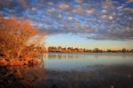 Lake Centenary Temora