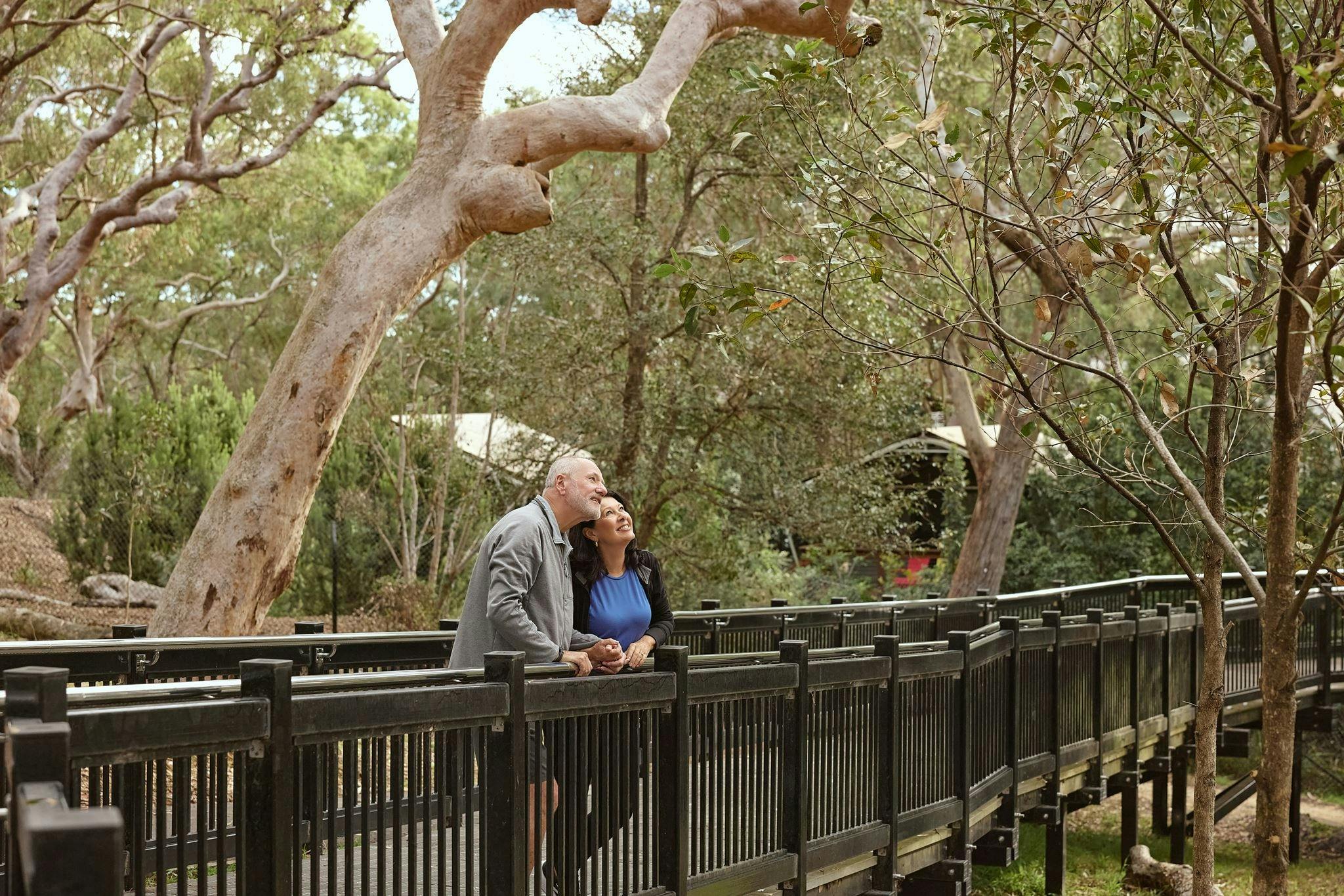Port Stephens Koala Sanctuary