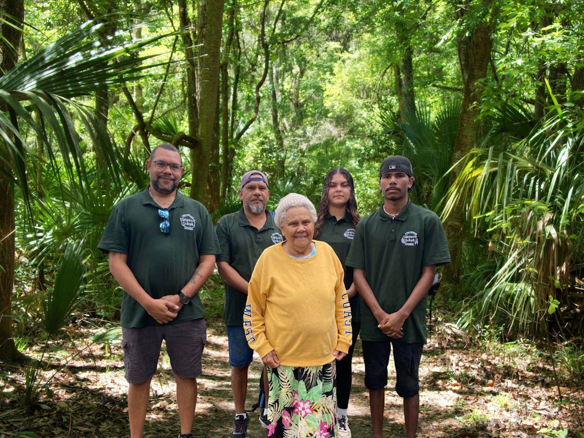 Rainforest To Bush Cultural Experiences