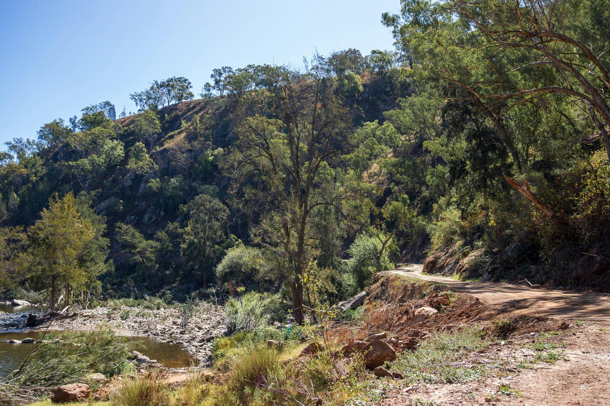 A slim dirt road on the Bridle TRack