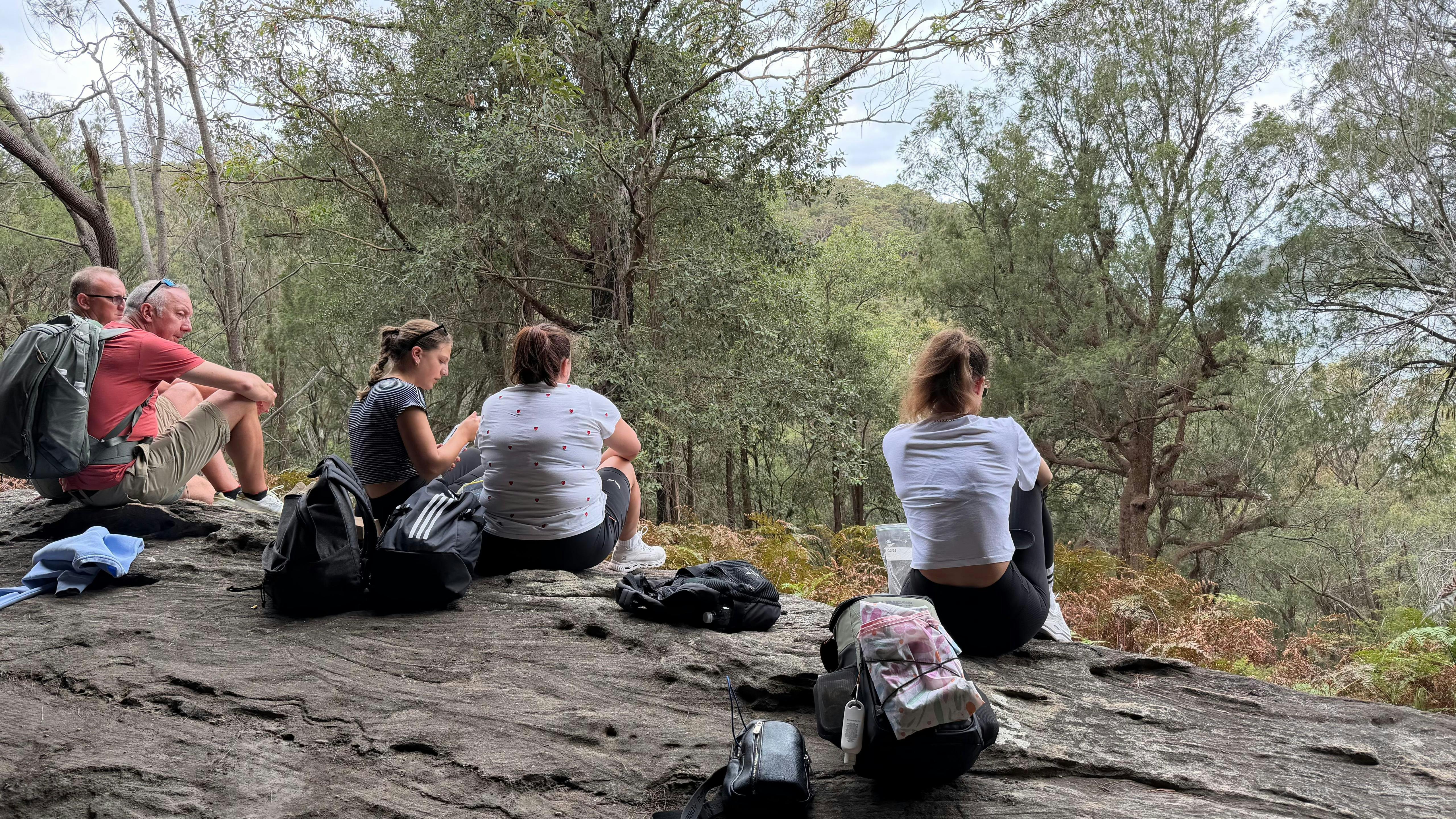 Ku-ring-gai National Park