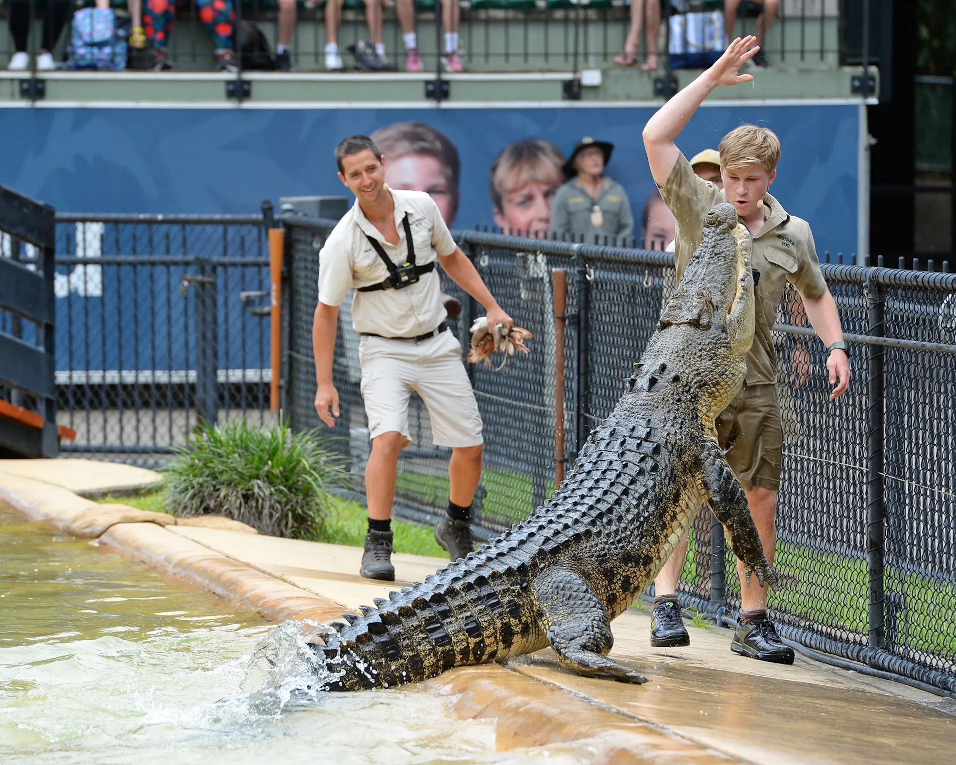 Wildlife Warriors Show