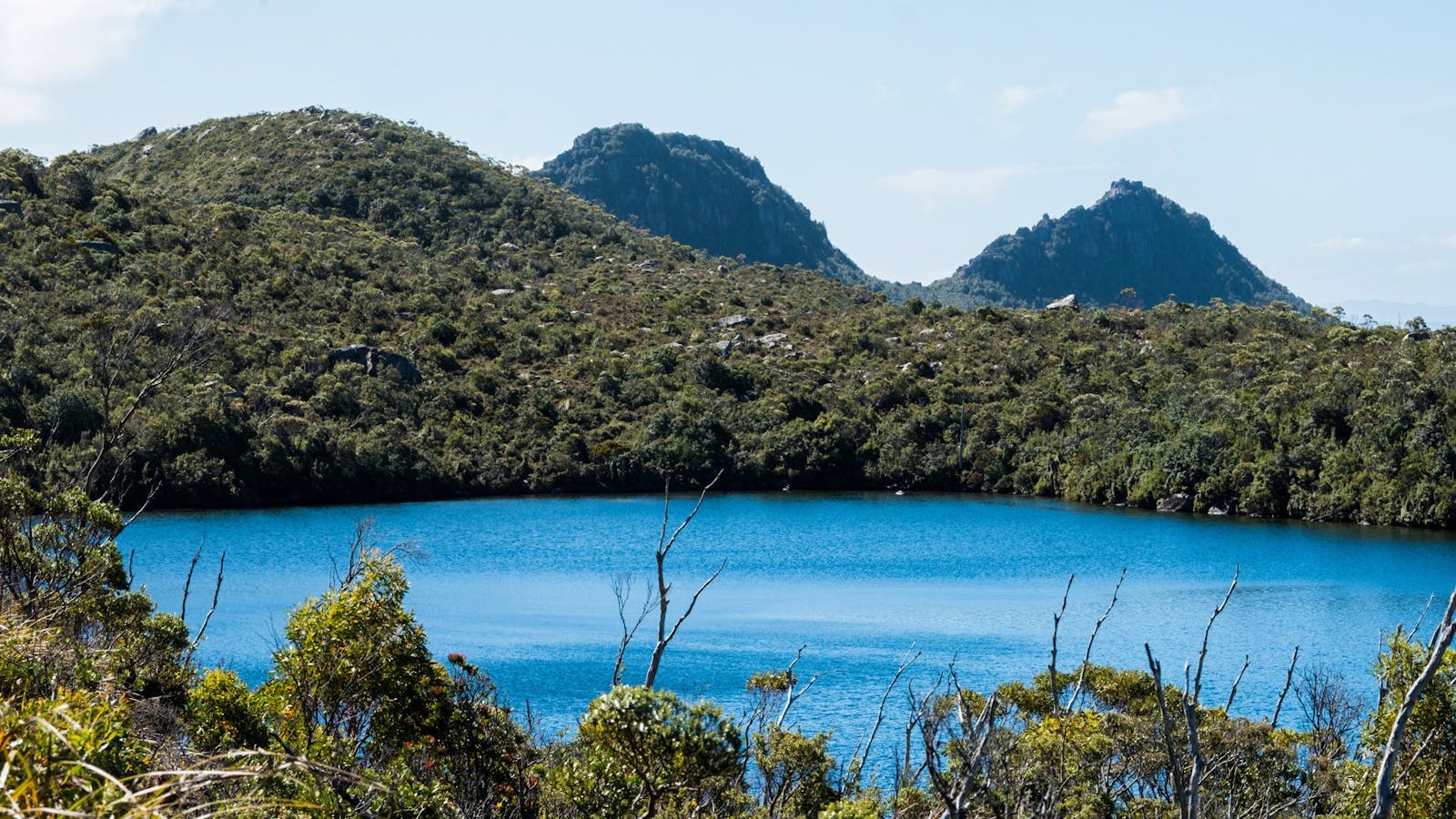 Hartz Mountains National Park