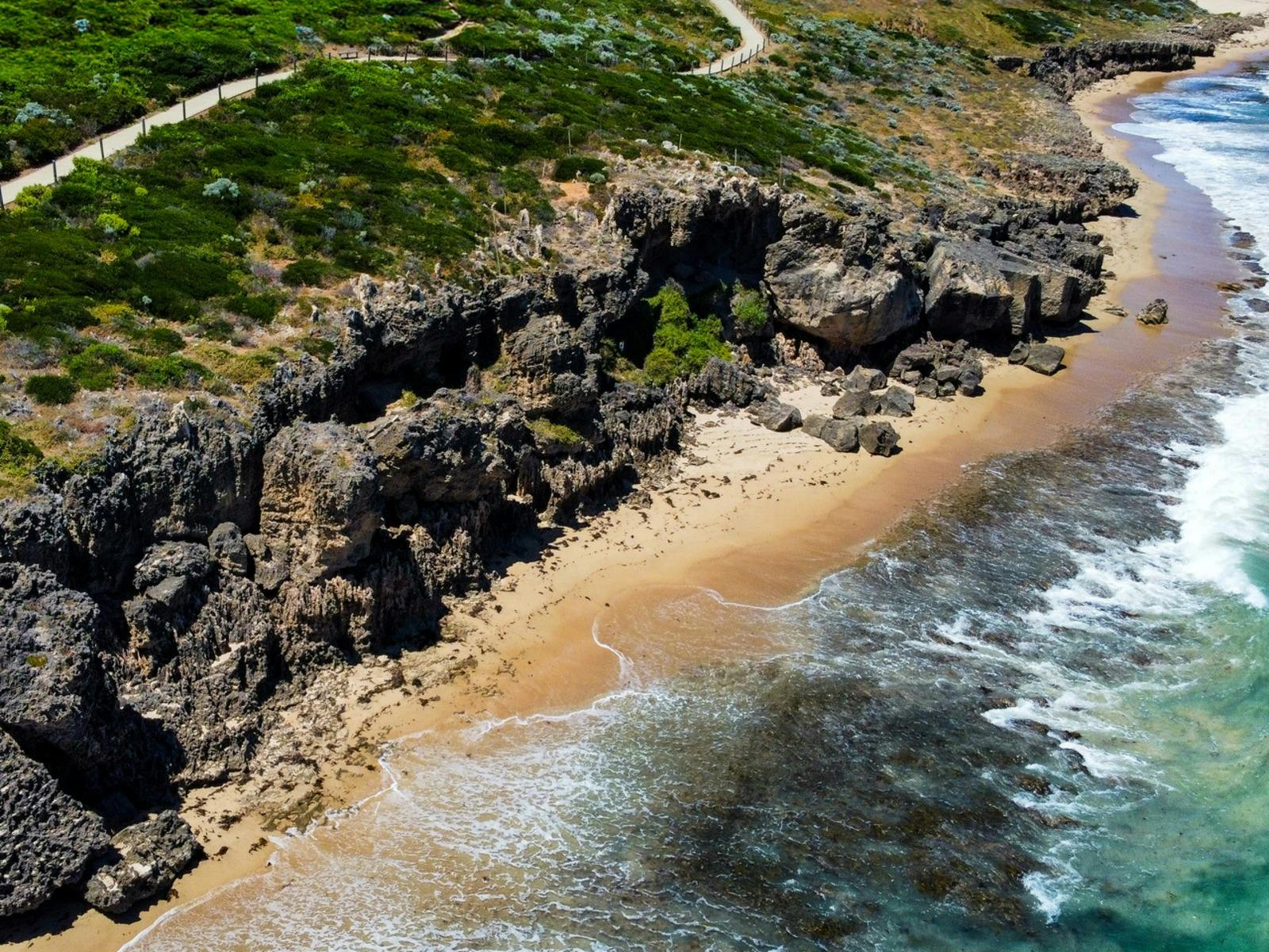 Seascapes Ancient Limestone Forest