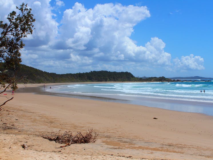 Minnie Water Beach NSW Holidays & Things to Do