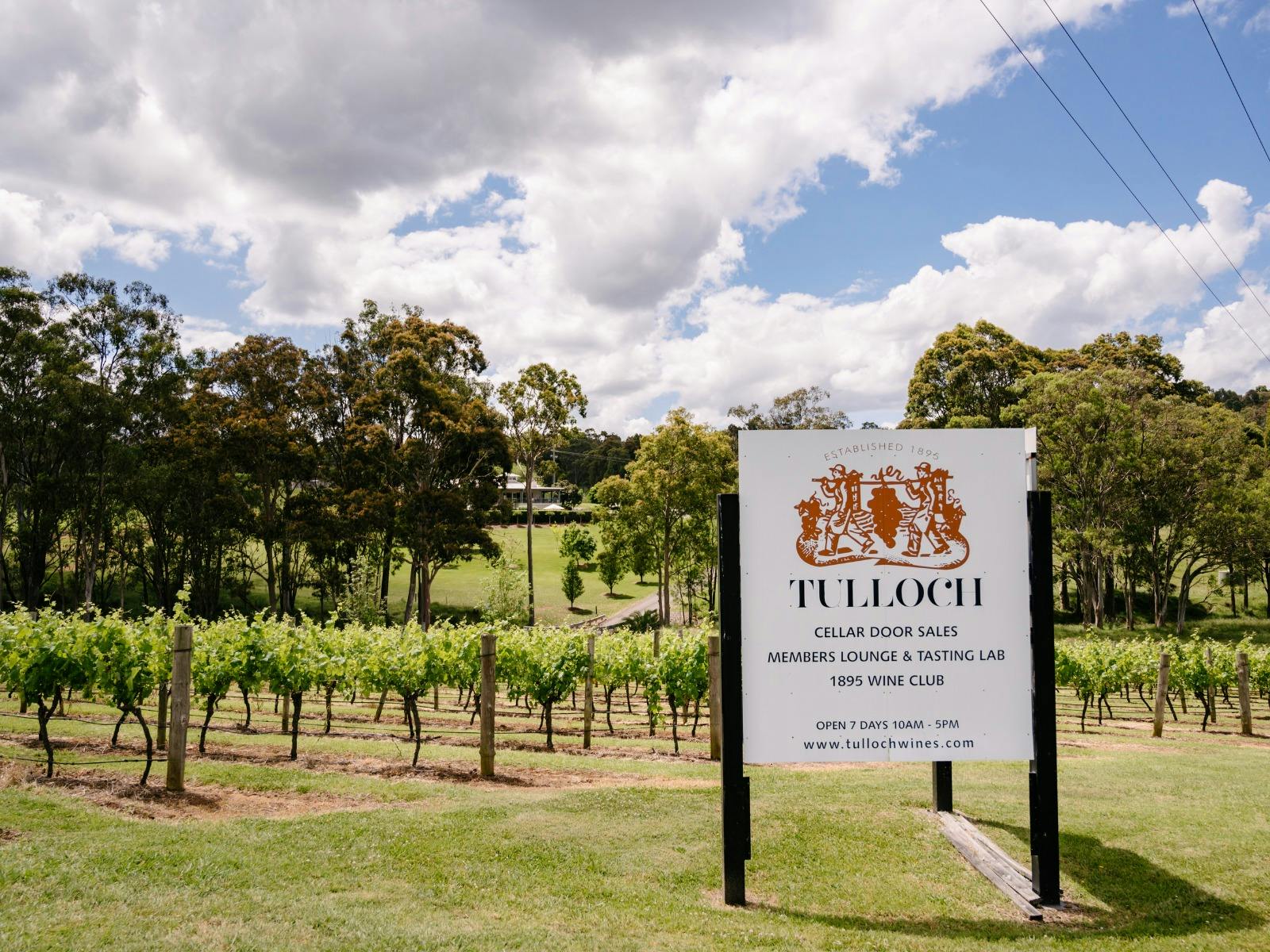 Vineyards outside of Tulloch Wines