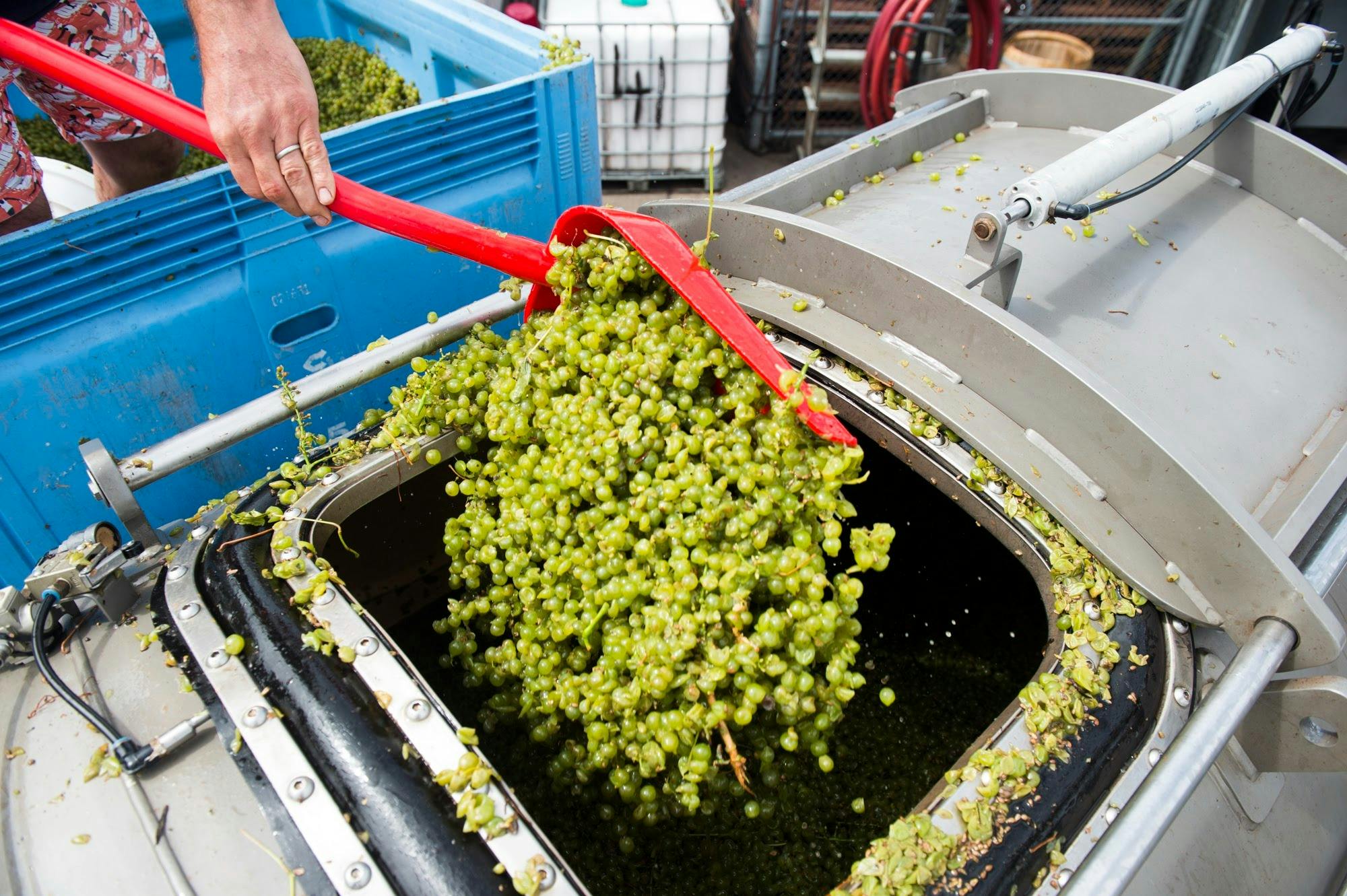 Urban Winery Sydney
