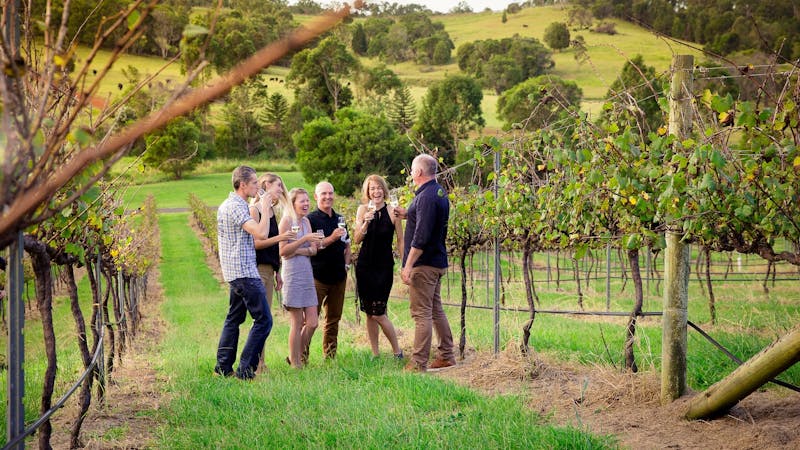 Tour the vineyard and winery with one of our winemaking teams