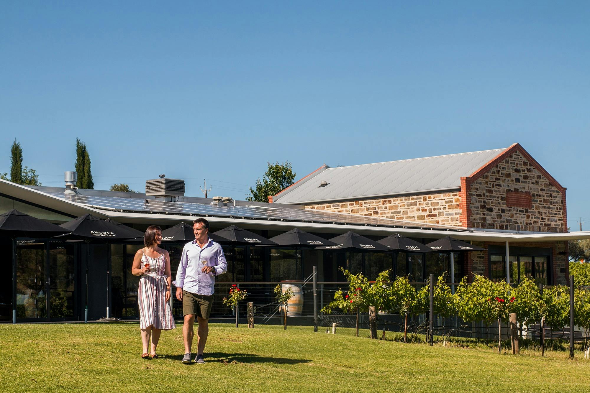 Angove McLaren Vale Couple Walking through the Vineyard