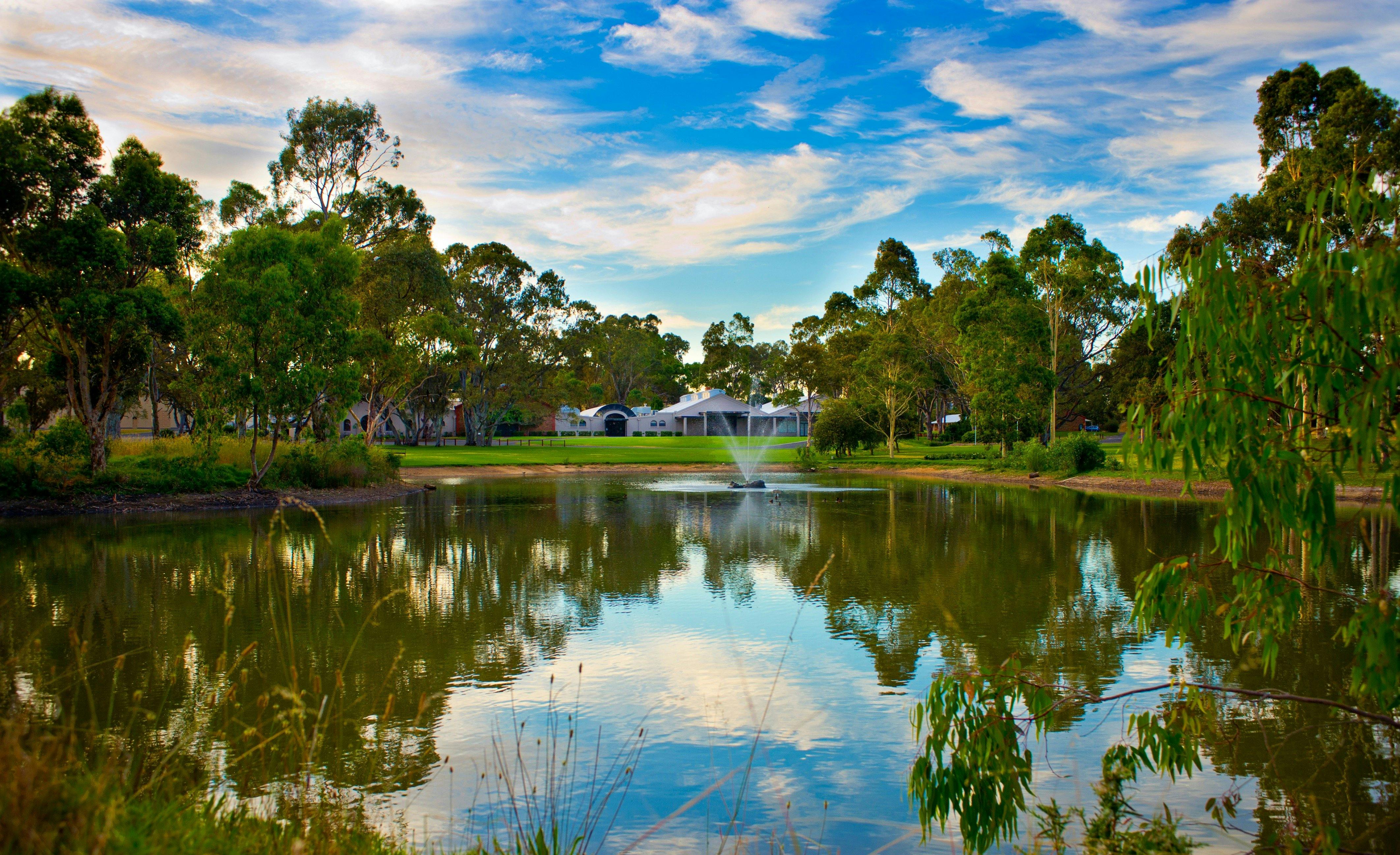 Serafino McLaren Vale