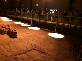 Red Dirt Tours