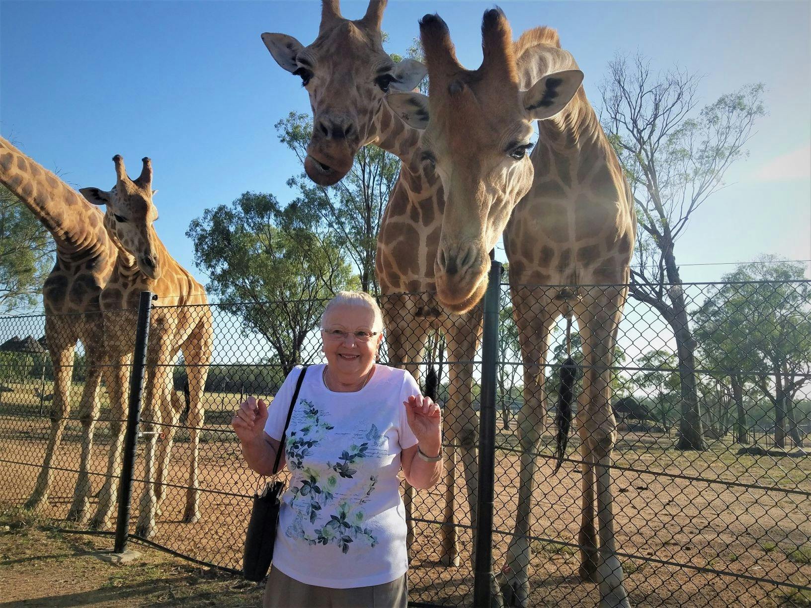 woman standing in front of giraffes