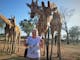 woman standing in front of giraffes