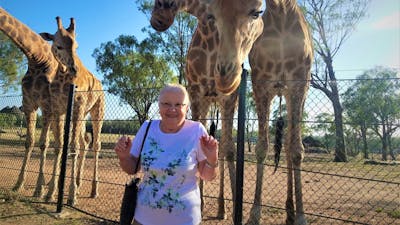 woman standing in front of giraffes