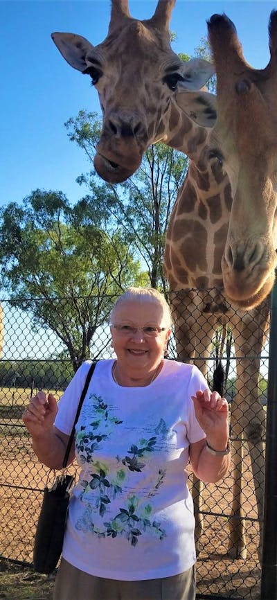 woman standing in front of giraffes