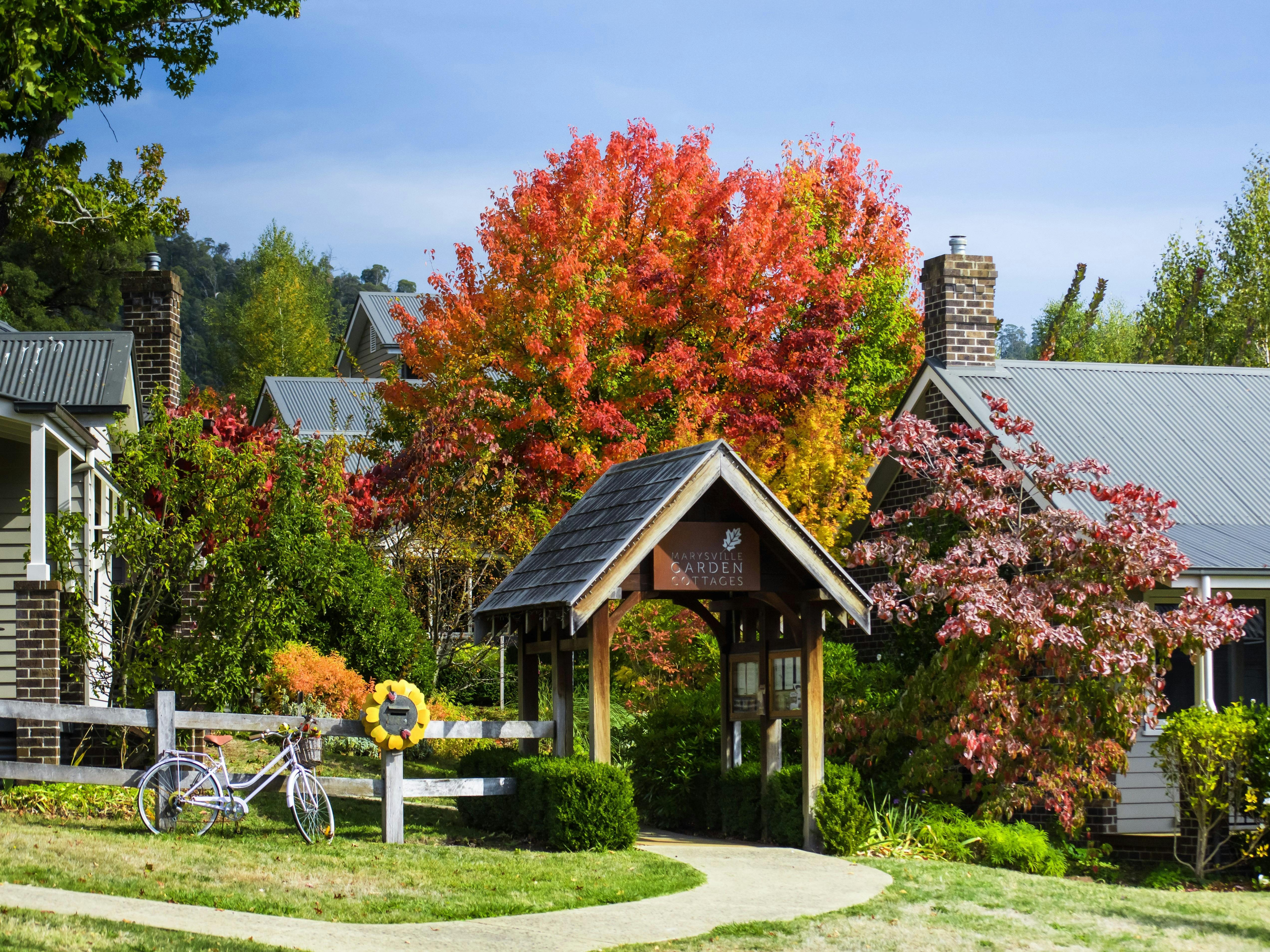 Marysville Cottages Entrance in Autumn