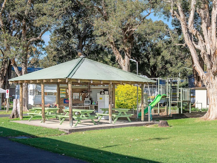 Pet friendly caravan park swimming pool kid friendly accommodation mid north coast laurieton dunboga