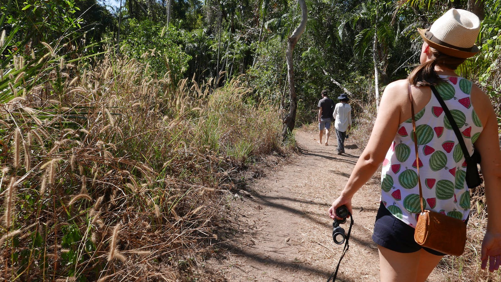 Holmes Jungle Nature Park