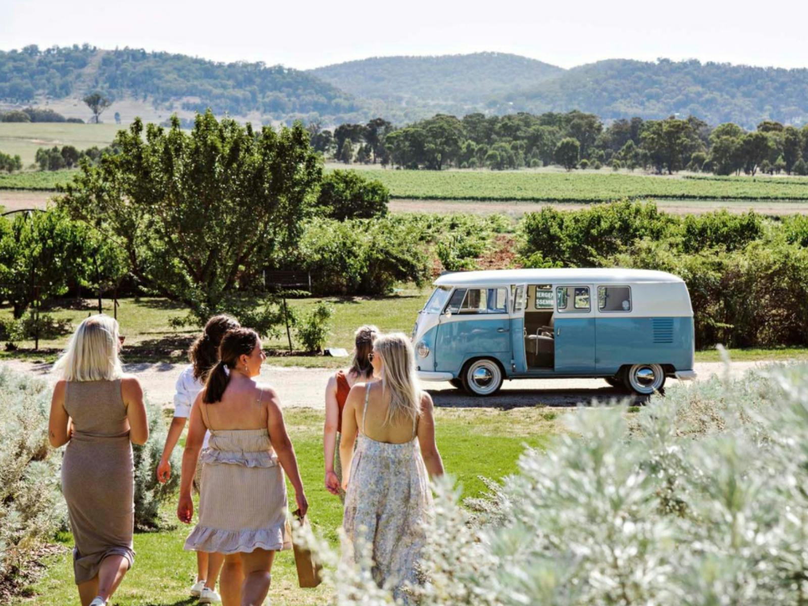 5 ladies walking towards blue/white VW Kombi bus