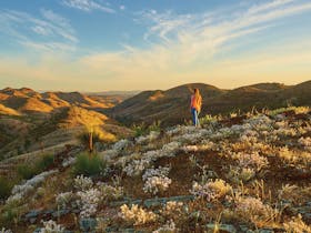 Living in the Rangelands Walking Trail, Skytrek Willow Springs Station