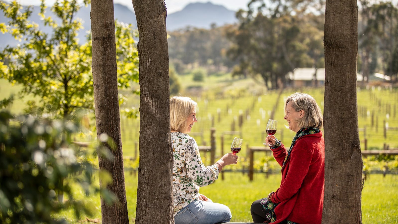 Kate Hill Wines Tasting