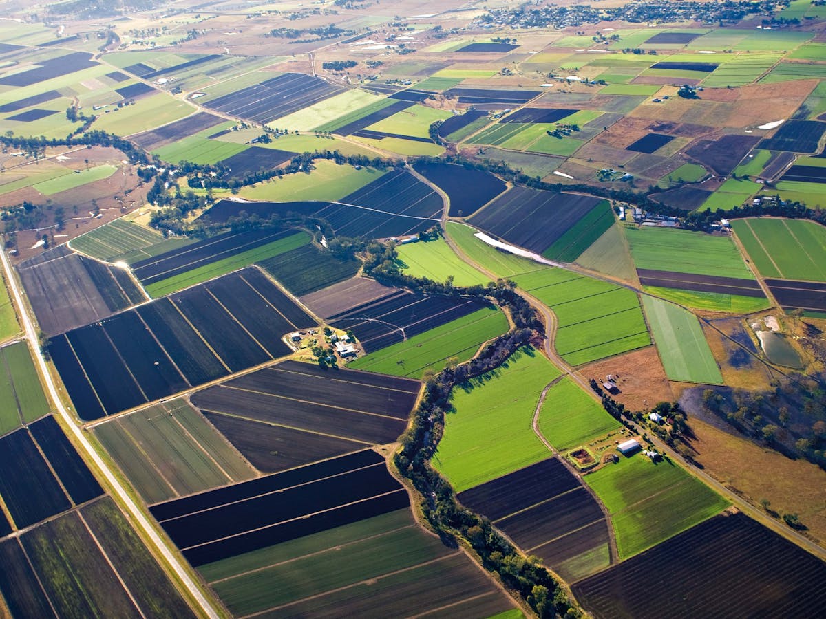 Fields Fields