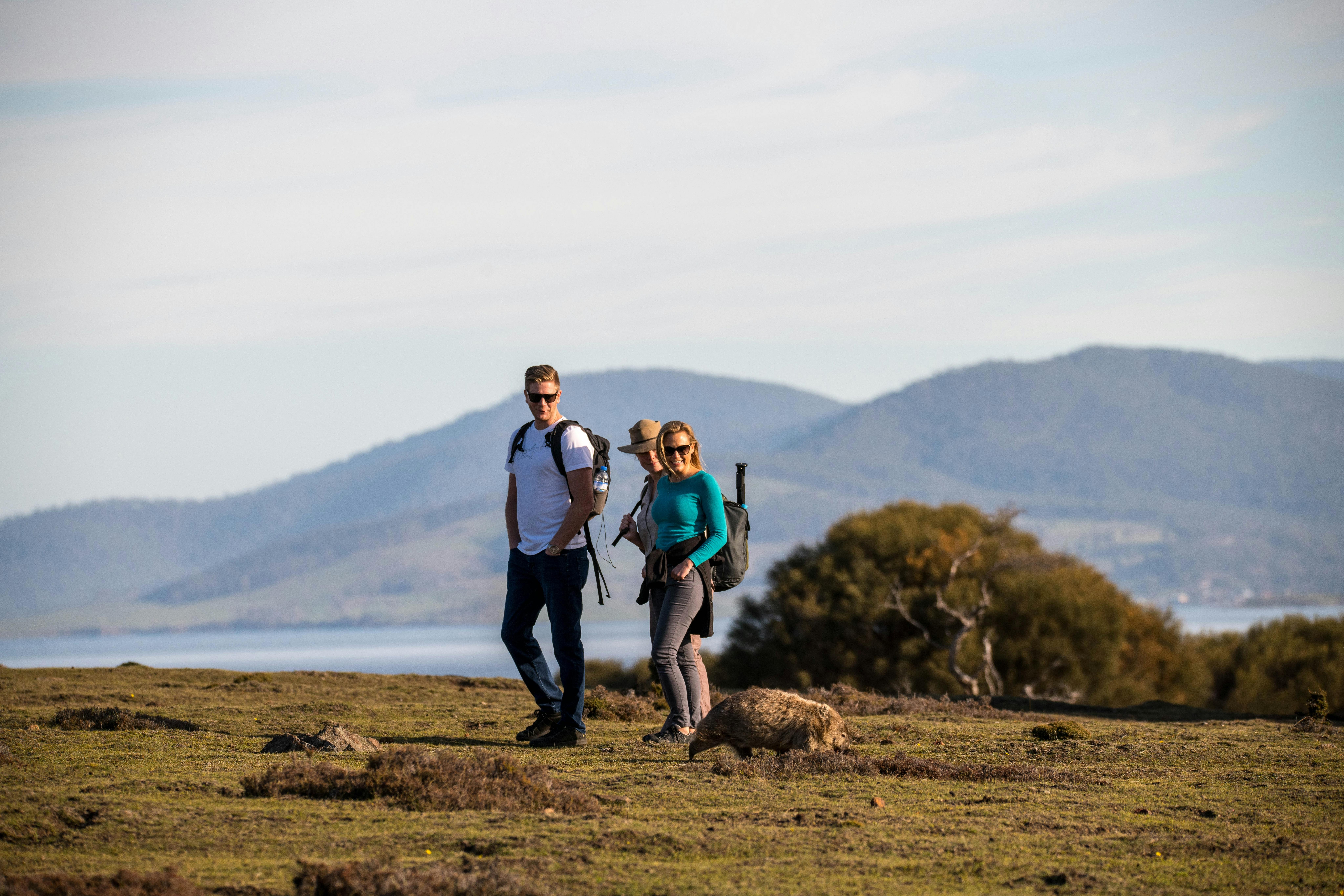 Small group touring - Premier Travel Tasmania