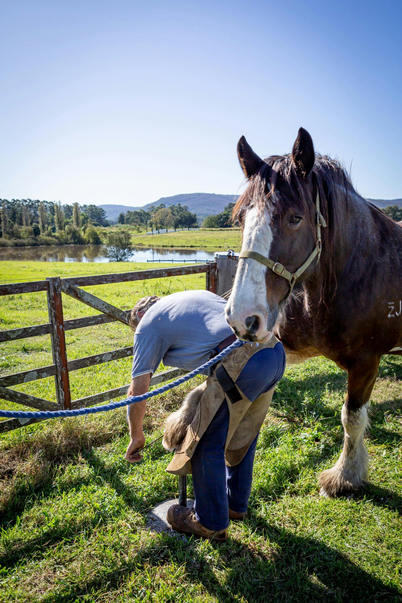 Tocal Homestead Tours