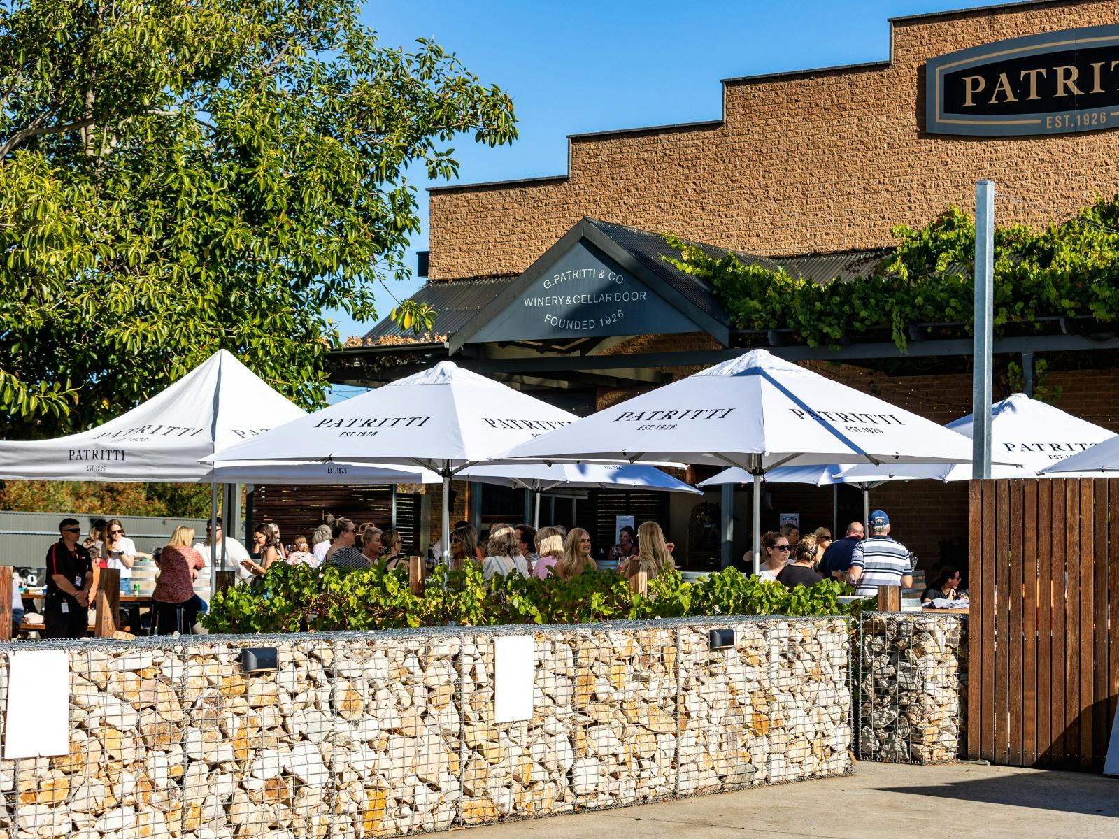 Patritti wines outdoor area