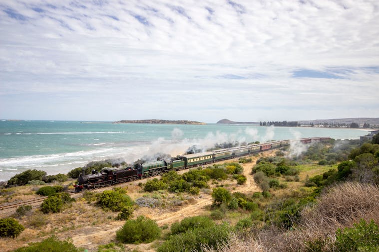 The Cockle Train