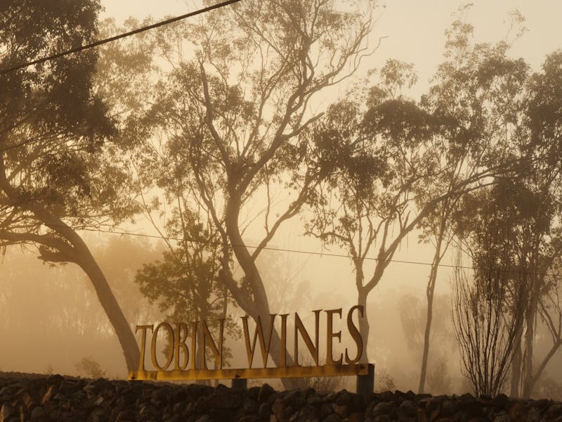 Tobin Wines - A Taste of the Granite Belt in a glass...