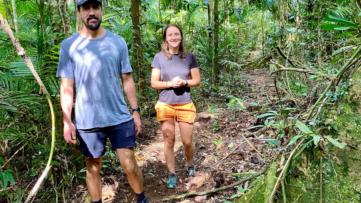 Two people on rainforest walking track surrounded by green trees