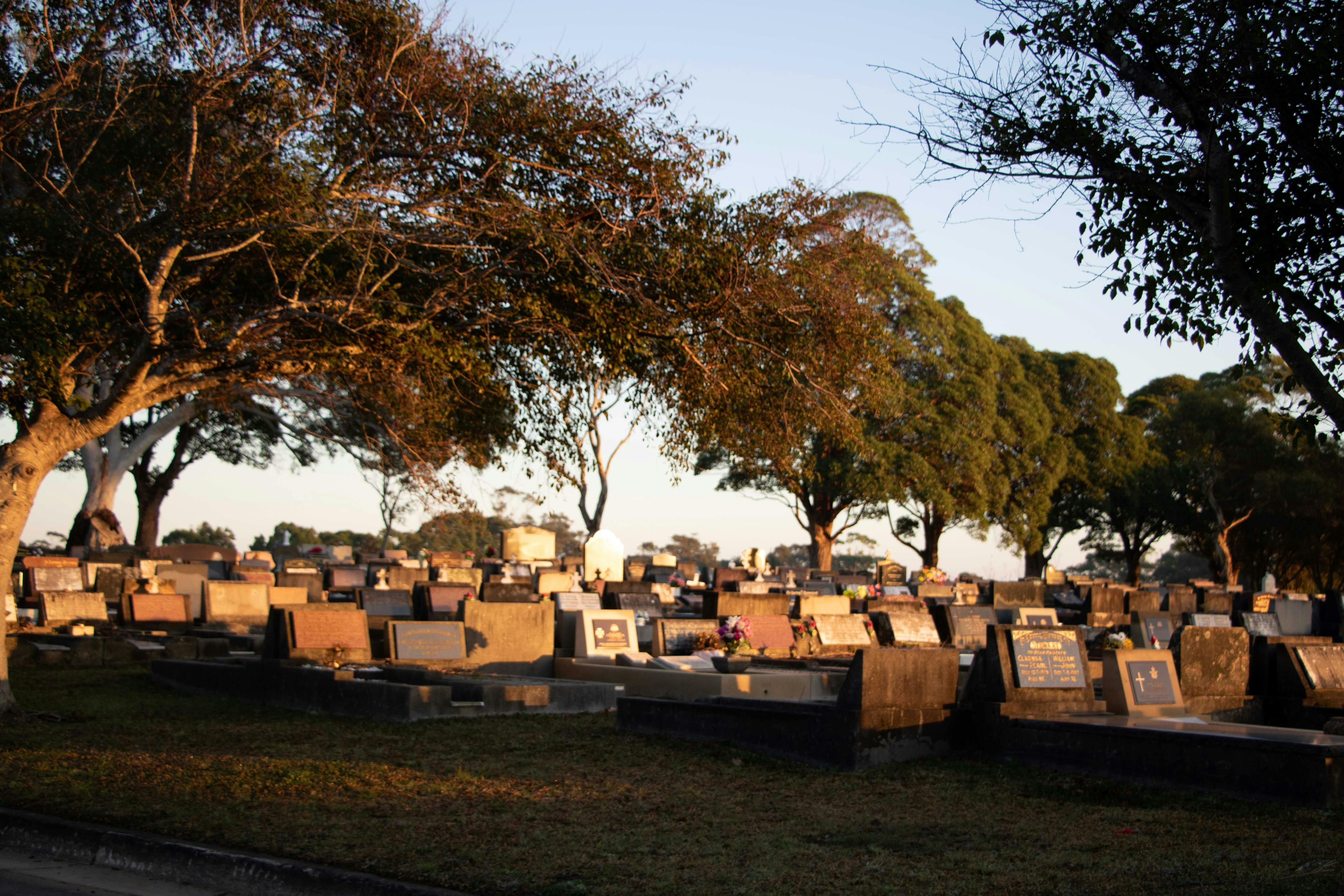 Lear more about the fascinating people that reside in the cemetery