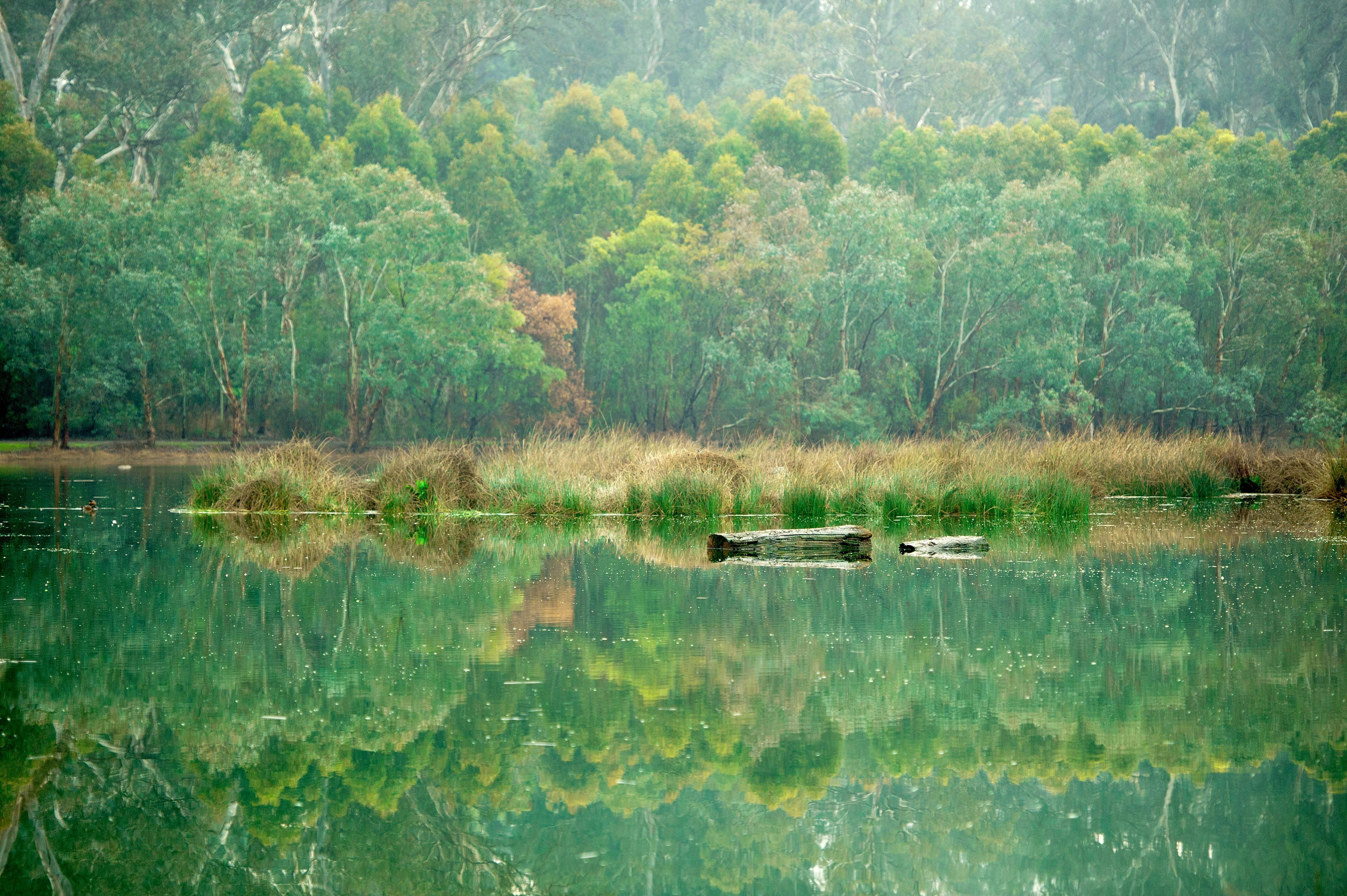 Laratinga Wetlands