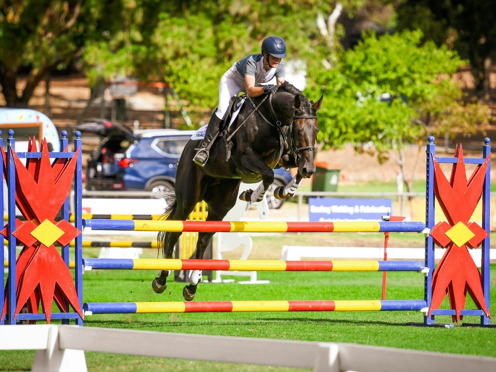 Show jumping action at Angaston Show Horses in Action in the Barossa Valley.