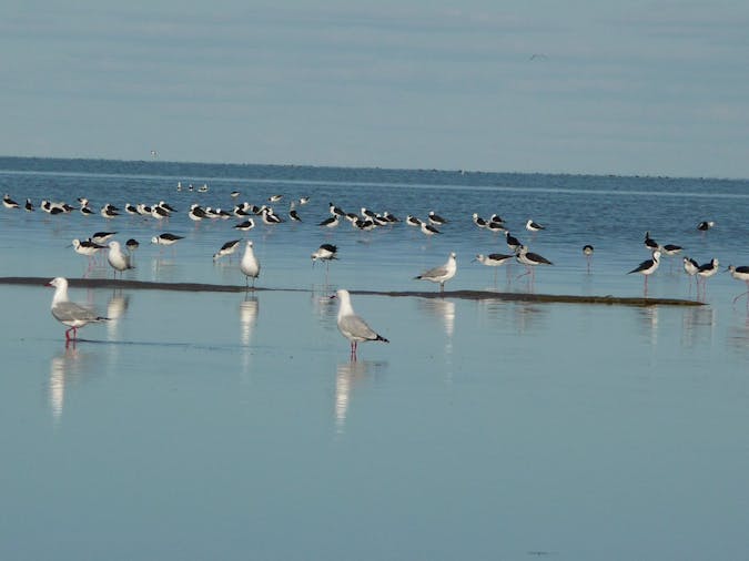 5 Day Flinders Ranges - Lake Eyre Tour - SWTLE05