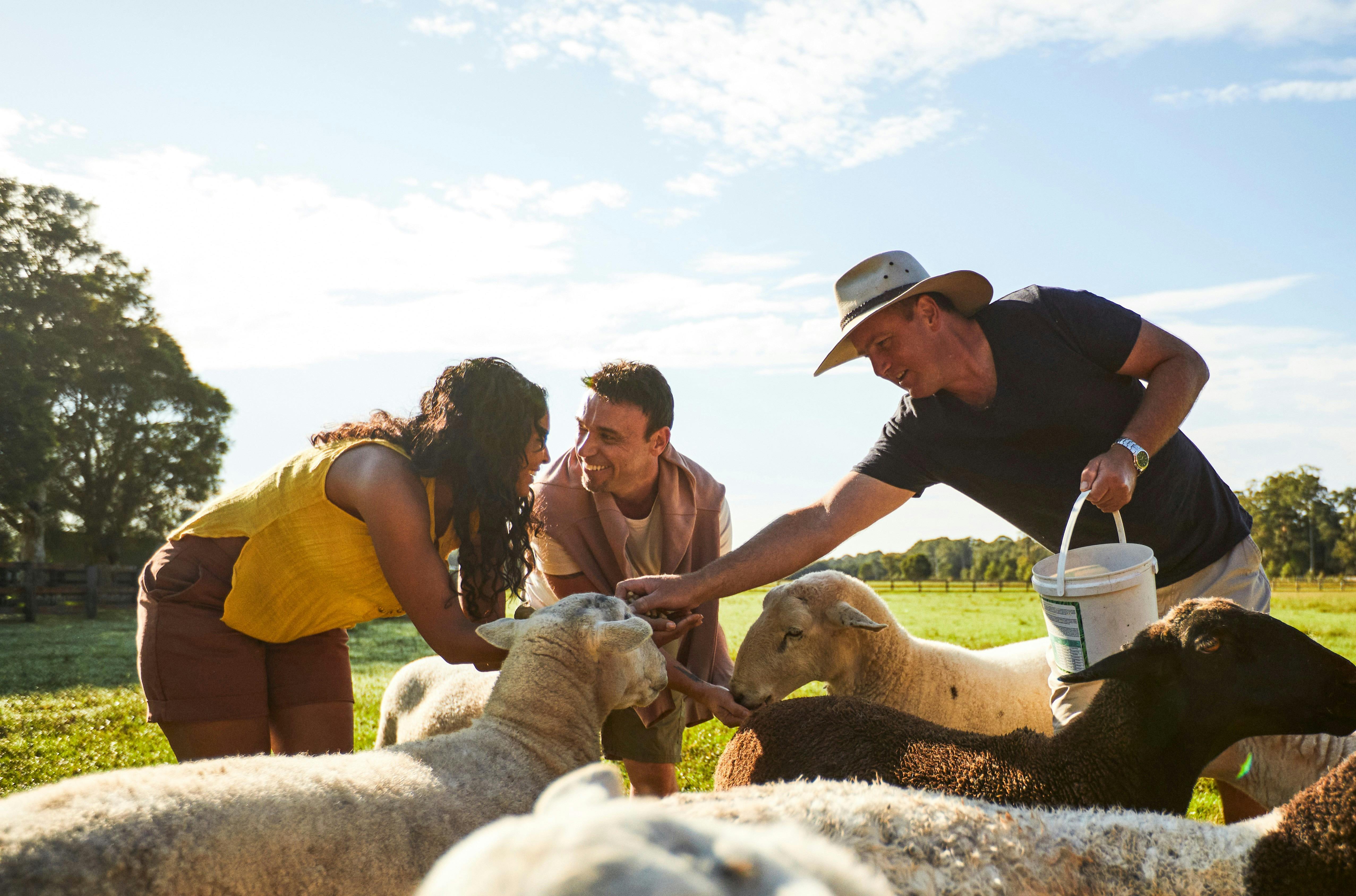 윌티폴 양을 만나다