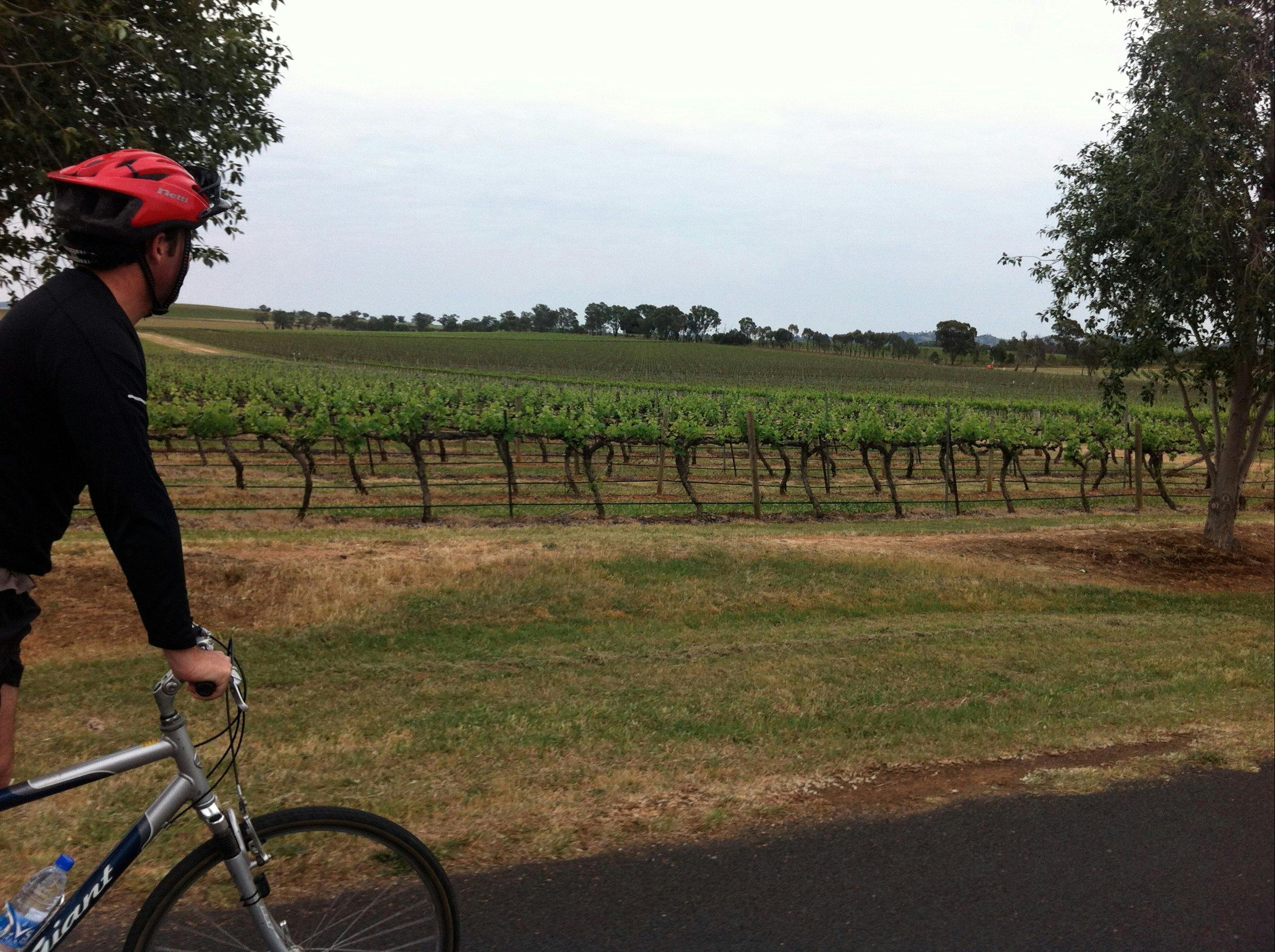 Tour de Mudgee Cellar Door