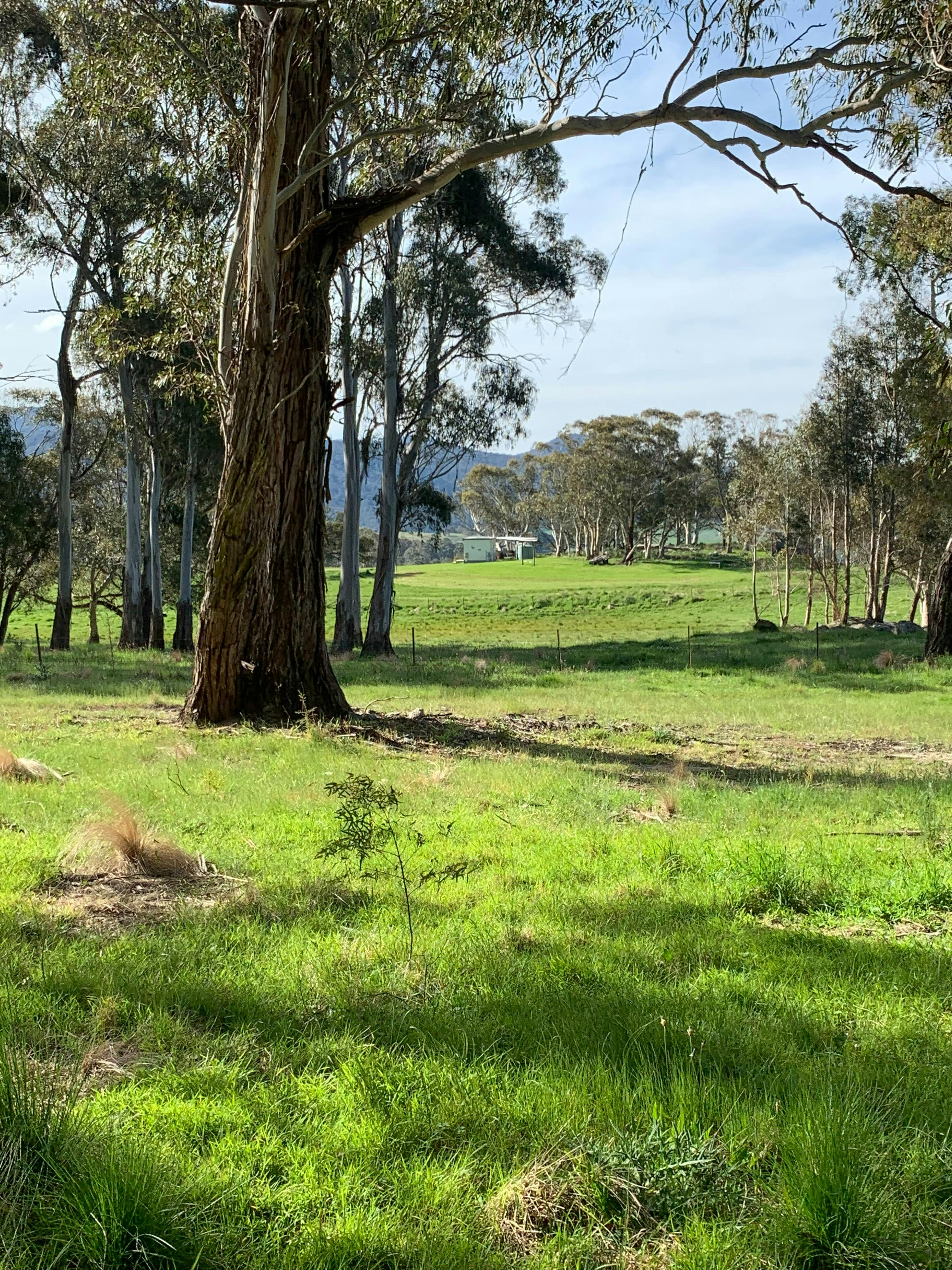walking around mayfield farm