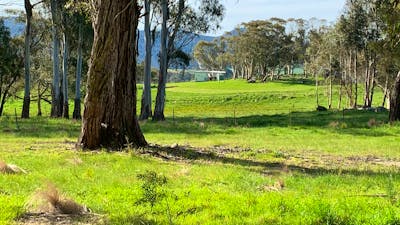 walking around mayfield farm