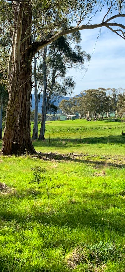 walking around mayfield farm